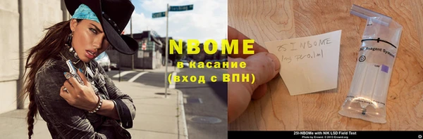 шишки Аркадак