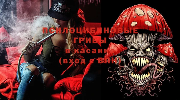 шишки Аркадак