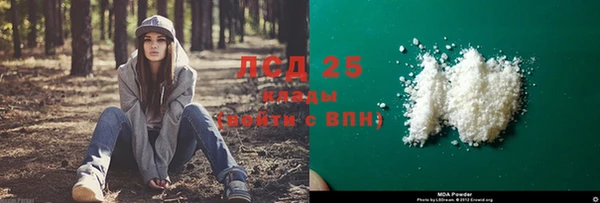 индика Армянск