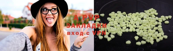 индика Армянск