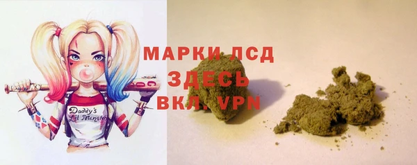 шишки Аркадак