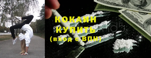 шишки Аркадак