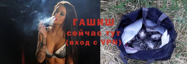 индика Армянск