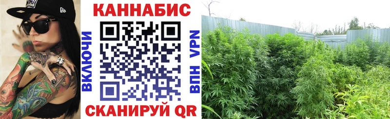 Купить где  Назарово  МАРИХУАНА тримм 